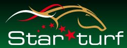 logo star turf